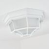 IBACACHE outdoor ceiling light white, 1-light source