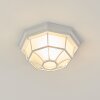 IBACACHE outdoor ceiling light white, 1-light source