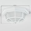 IBACACHE outdoor ceiling light white, 1-light source