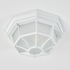 IBACACHE outdoor ceiling light white, 1-light source