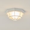 IBACACHE outdoor ceiling light white, 1-light source