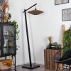 SHELBOURNE Floor Lamp black, 1-light source
