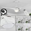 MALLOA ceiling fan LED white, 1-light source, Remote control