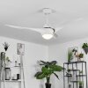 MALLOA ceiling fan LED white, 1-light source, Remote control