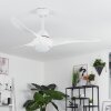 MALLOA ceiling fan LED white, 1-light source, Remote control