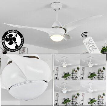 MALLOA ceiling fan LED white, 1-light source, Remote control