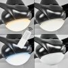 MALLOA ceiling fan LED black, 1-light source, Remote control