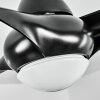 MALLOA ceiling fan LED black, 1-light source, Remote control
