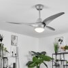 MALLOA ceiling fan LED titanium, 1-light source, Remote control