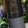 GABORONE pedestal light anthracite, 1-light source
