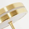HUALLILEMU Table lamp LED brass, 1-light source