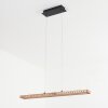 GUACACALLO Pendant Light LED black, 1-light source