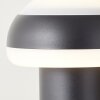 Brilliant ILTON outdoor floor lamp LED black, 1-light source