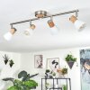 ICALMA Ceiling Light Ecru, matt nickel, 4-light sources
