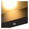Lucide LIAM Outdoor Wall Light anthracite, 1-light source