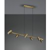 Trio MARLEY Pendant Light antique brass, 6-light sources