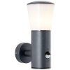 Brilliant CLIFFI Outdoor Wall Light anthracite, 1-light source, Motion sensor