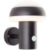 Brilliant ILTON Outdoor Wall Light LED black, 1-light source, Motion sensor