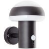 Brilliant ILTON Outdoor Wall Light LED black, 1-light source, Motion sensor