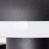 Brilliant ILTON Outdoor Wall Light LED black, 1-light source, Motion sensor