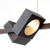 Brilliant DILLARD Pendant Light LED gold, black, 5-light sources, Remote control