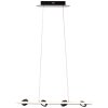 Brilliant NEBEKER Pendant Light LED black, 4-light sources, Remote control