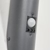 GABORONE Outdoor Wall Light anthracite, 1-light source, Motion sensor