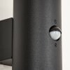 CARAGUA Outdoor Wall Light black, 2-light sources, Motion sensor