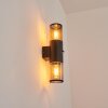 CARAGUA Outdoor Wall Light black, 2-light sources, Motion sensor