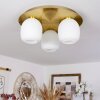 PINTACURA Ceiling Light brass, 3-light sources