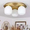 PINTACURA Ceiling Light brass, 3-light sources