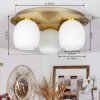 PINTACURA Ceiling Light brass, 3-light sources