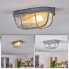 CHAQUIRE Ceiling Light grey, 1-light source