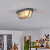 CHAQUIRE Ceiling Light grey, 1-light source