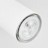 JAVEL Ceiling Light chrome, white, 2-light sources