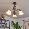 MOSQUERITO Ceiling Light rust-coloured, 3-light sources
