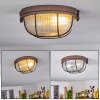 CHAQUIRE Ceiling Light brown, rust-coloured, 1-light source