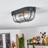 QUINTAY Ceiling Light black, 1-light source