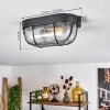 QUINTAY Ceiling Light black, 1-light source