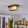 QUINTAY Ceiling Light black, 1-light source