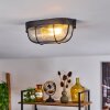 QUINTAY Ceiling Light black, 1-light source