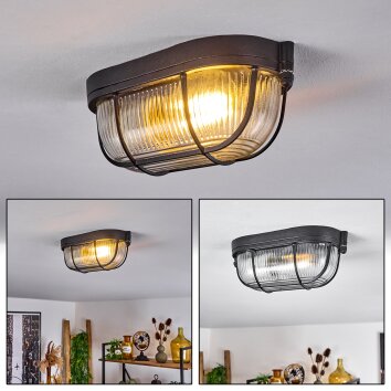 QUINTAY Ceiling Light black, 1-light source