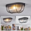 QUINTAY Ceiling Light black, 1-light source