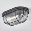 QUINTAY Ceiling Light black, 1-light source