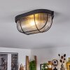 QUINTAY Ceiling Light black, 1-light source