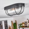 QUINTAY Ceiling Light black, 1-light source