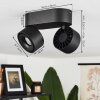 LAONSANA Ceiling Light LED black, 2-light sources