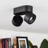 LAONSANA Ceiling Light LED black, 2-light sources