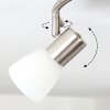 ALDANA Ceiling Light matt nickel, 3-light sources