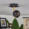 TOME Ceiling Light LED brass, black, 1-light source